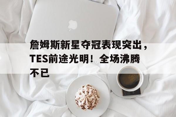 九游娱乐入口-詹姆斯新星夺冠表现突出，TES前途光明！全场沸腾不已的简单介绍